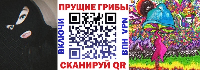 Псилоцибиновые грибы Psilocybe  Алупка 